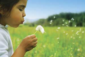 This is a stock photo of a child blowing on a dandelion. 